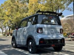 
										Geely Panda, 2025 full									