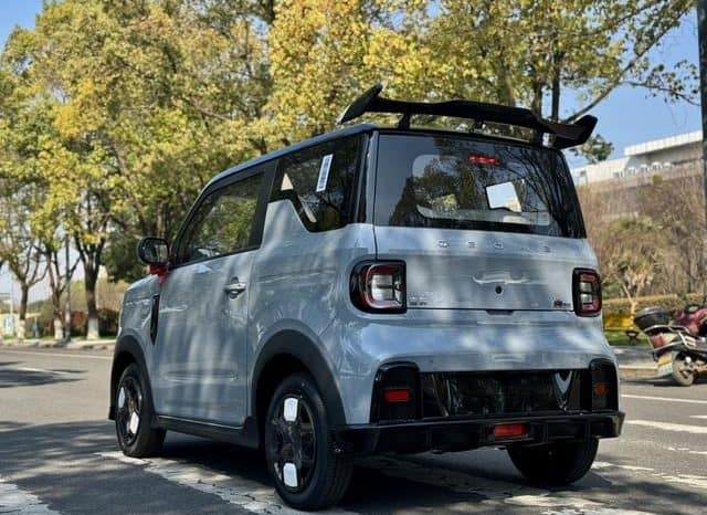 
								Geely Panda, 2025 full									