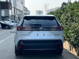 
										Toyota Wildlander, 2021 full									