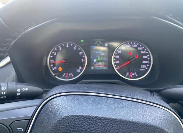
								Toyota Wildlander, 2021 full									