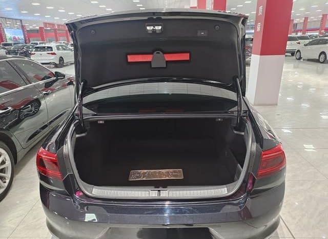 
								Volkswagen Magotan, 2021 full									