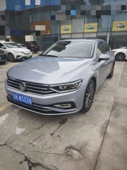 Volkswagen Magotan, 2020