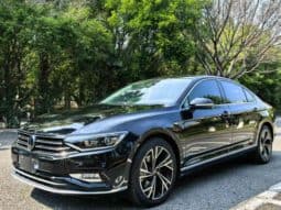 67ddcabc8e29a Volkswagen Magotan, 2021