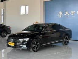 67ddefaeb8deb Volkswagen Magotan, 2024