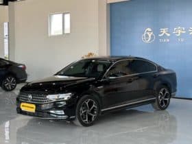 Volkswagen Magotan, 2024