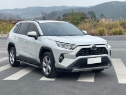 
										Toyota RAV4 (IV), 2020 full									