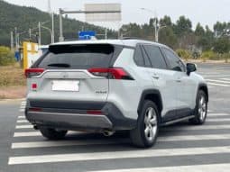 
										Toyota RAV4 (IV), 2020 full									