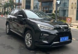 
										Toyota Wildlander, 2021 full									
