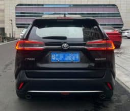 
										Toyota Wildlander, 2021 full									