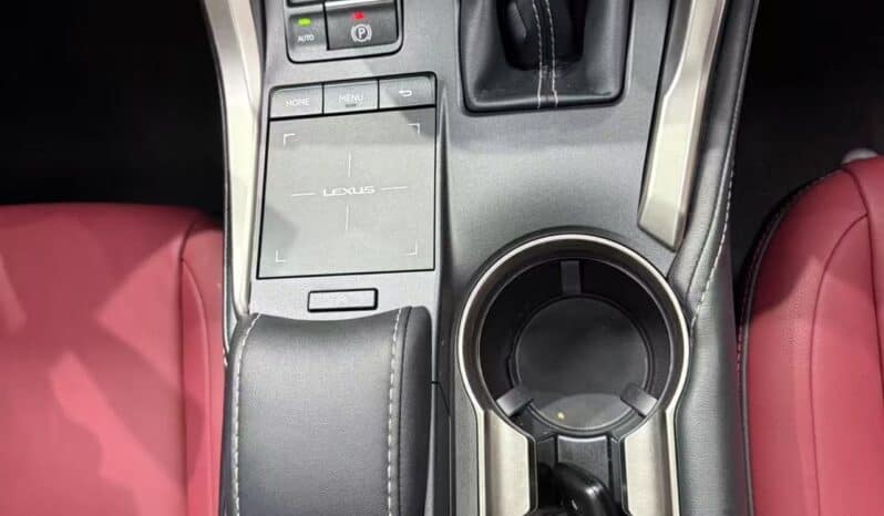 
								Lexus NX200, 2020 full									