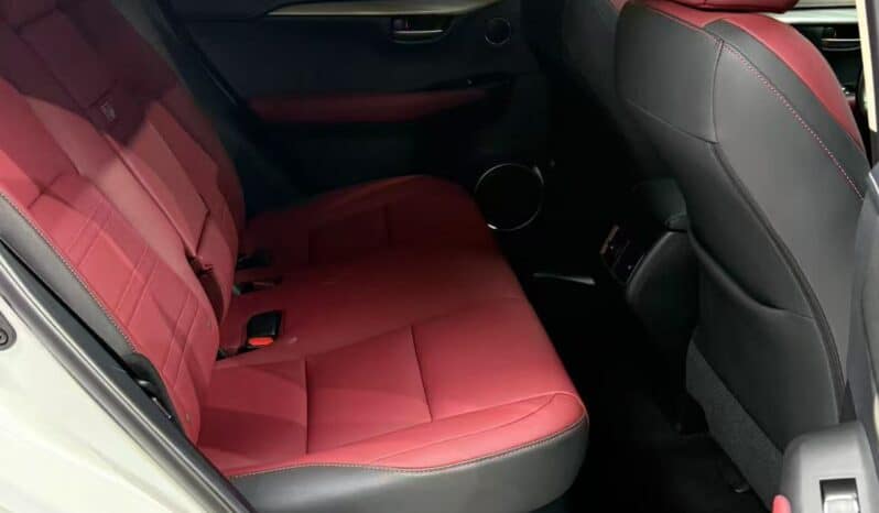 
								Lexus NX200, 2020 full									