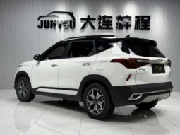 
										Kia Seltos, 2022 full									