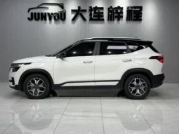 
										Kia Seltos, 2022 full									