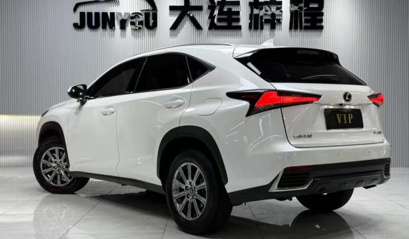 
								Lexus NX200, 2020 full									