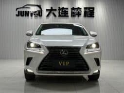 
										Lexus NX200, 2020 full									