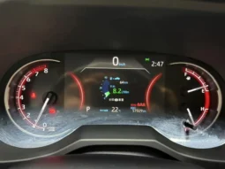 
										Toyota RAV4, 2021 full									
