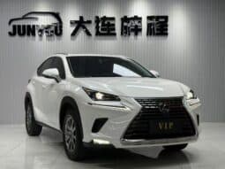 
										Lexus NX200, 2020 full									
