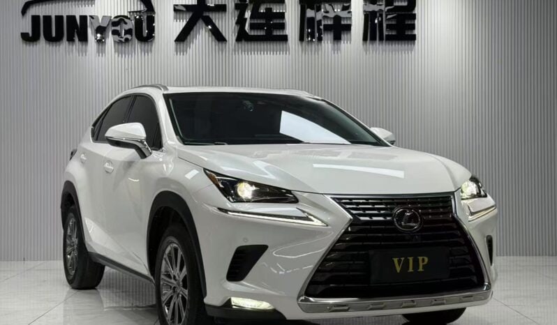 
								Lexus NX200, 2020 full									