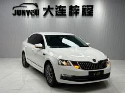
										Skoda Octavia, 2020 (октябрь) full									