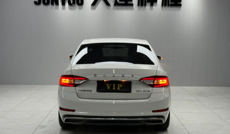 
								Skoda Octavia, 2020 (октябрь) full									