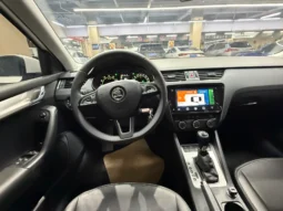 
										Skoda Octavia, 2020 (октябрь) full									