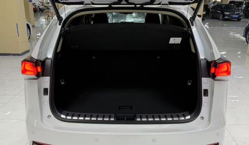 
								Lexus NX200, 2020 full									