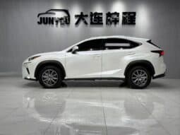 
										Lexus NX200, 2020 full									