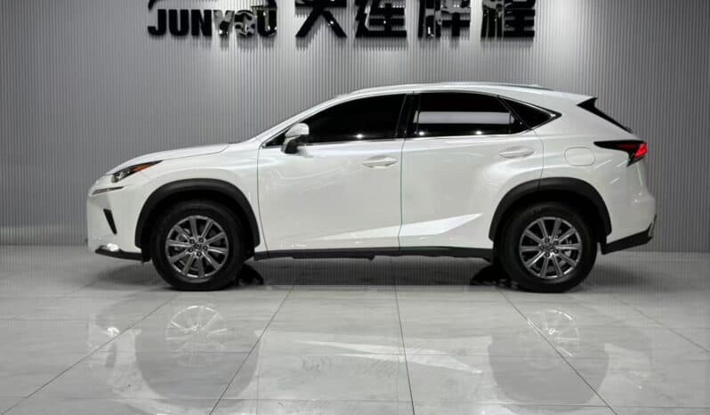 
								Lexus NX200, 2020 full									