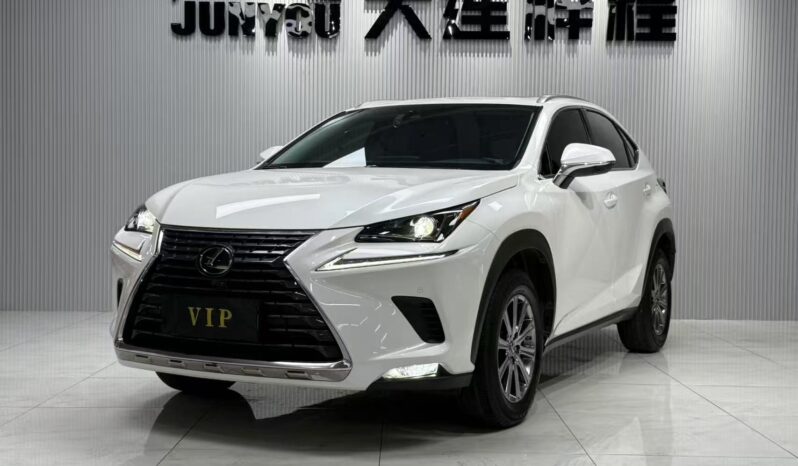 d8b8c051753372439ed9d4e99b24b522 Lexus NX200, 2020