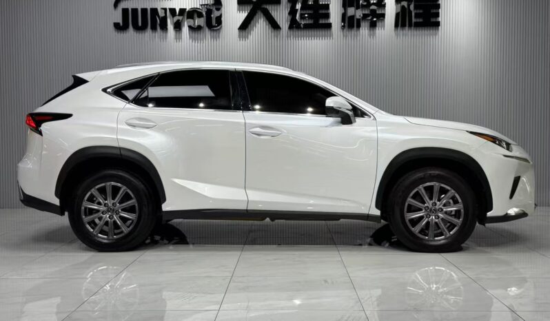 
								Lexus NX200, 2020 full									