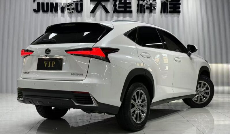 
								Lexus NX200, 2020 full									