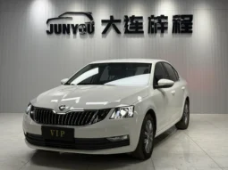 
										Skoda Octavia 2021.09 full									