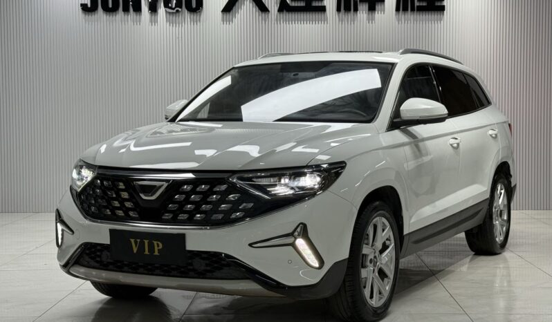 
								JETTA VS7 2022.7 full									